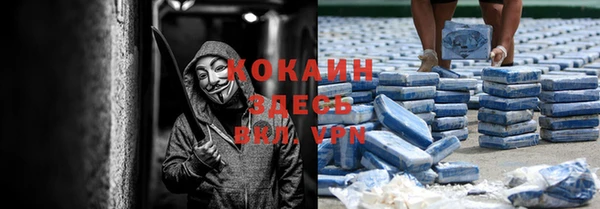 прущие крисы Магас