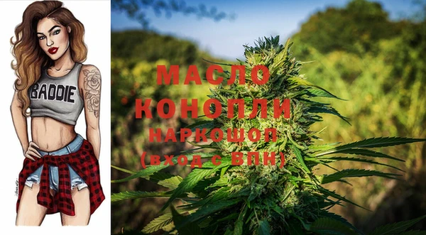 гашик Майский