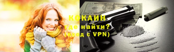 гашик Майский