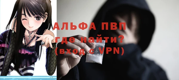 прущие крисы Магас