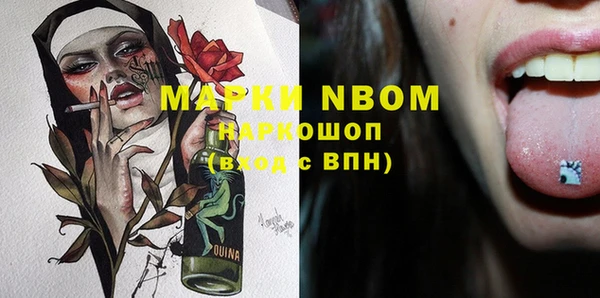 гашик Майский