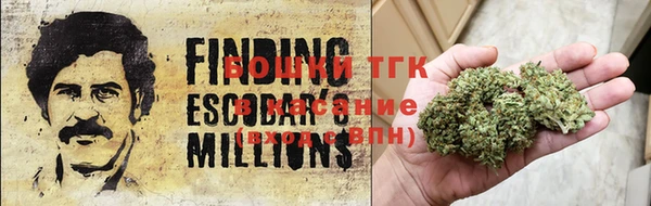 прущие крисы Магас